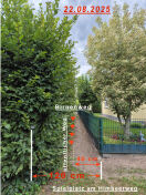 Foto: öffentlicher Verbindungsweg zwischen Birnenweg und Spielplatz (Himbeerweg) 